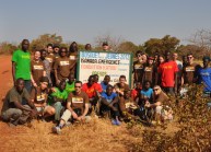 Plantation et reboisement